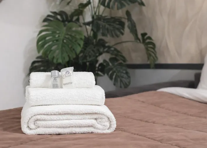 Arya Vaticano Apartment Rome