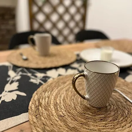 Arya Vaticano 로마